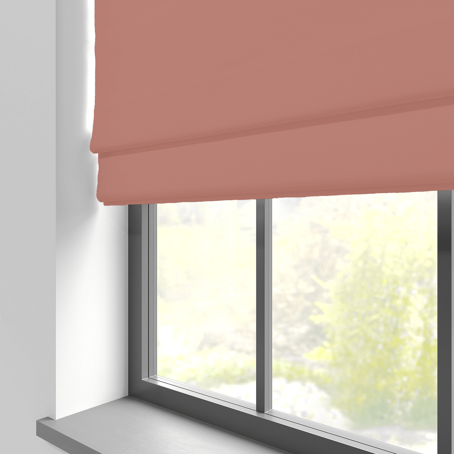 Zalm / Gratis Monster